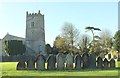 Gravestones and church, Burrington