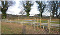 Shadow approaches stile to cross driveway