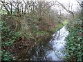 The former Worsbrough branch, Dearne & Dove Canal [6]