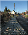 Whittlesford: frosty roadside