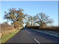 Road to Marsh Gibbon