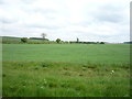 TL6054 : Crop field north west of Weston Colville by JThomas