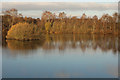 Swanholme Lakes