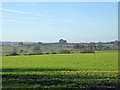 View west from near Caswell