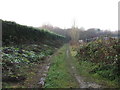 Bridleway to Park Road