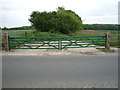 Field entrance and woodland