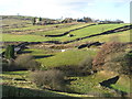 Across Rag Clough towards Lower Fold Farm