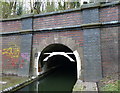 The southern portal of Dudley Tunnel