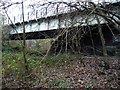 Dearne & Dove Canal passing under the Worsbrough railway line