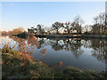 River Thames at Rush Court