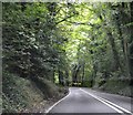 A272, Limekiln Copse