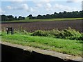 SJ5344 : Ploughed field, east of Povey's Lock by Christine Johnstone