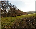 Fields near Hill Farm