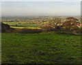 Farmland near Higher Chillington