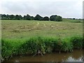 SJ5243 : Mown meadow, near Grindley Brook by Christine Johnstone