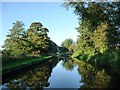 Llangollen Canal, looking westwards