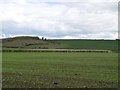 Towards Sandhurst Hill