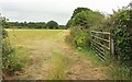 Field near Treswallen