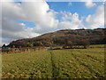 Footpath with View of High Beeches and Newtimber Hill