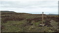 On the Antrim Hills Way - Leading N to Sallagh Braes