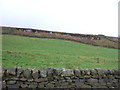 Grazing towards a disused quarry