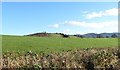 Drumlins in the Moygannon River Valley