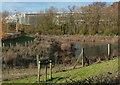 Small lake at the Swan Valley Industrial Estate