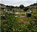 West side of East Grove Road Allotments, Newport