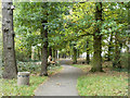 Path from Downderry Road to Moorside Road