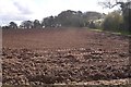 A ploughed field