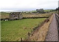 View from a Skipton-Rylstone excursion train - Fields near Low Laithe