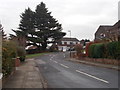 Woodlands Walk - viewed from Woodlands Crescent