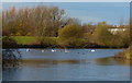 Lake at Swan Valley