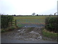 Field entrance off Brackenthwaite Lane