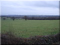 Grazing near Low Moor Farm