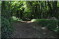 Footpath, Limekiln Plantation