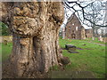 In the grounds of Beauly Priory