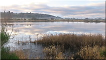 NH5346 : River  Beauly downstream of Beauly by Julian Paren