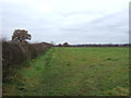 Footpath to Nantwich