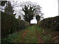 Farm track (footpath), Bank Farm