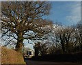 Approaching Knowle Poultry Farm