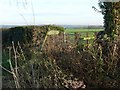 Public footpath to Quarndon