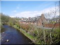 River Ayr, Catrine