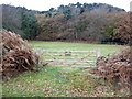 Field entrance of Stone House Lane