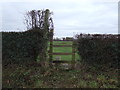 Footpath off Peckforton Hall Lane