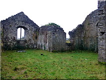 H3462 : Ruins of old abbey, Dromore by Kenneth  Allen