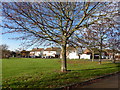 A green by New Zealand Way, Rainham