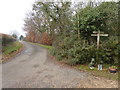 Footpath goes west from bridleway crossing