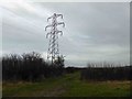 Pylon near Long Bennington