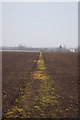 Footpath near High House Farm